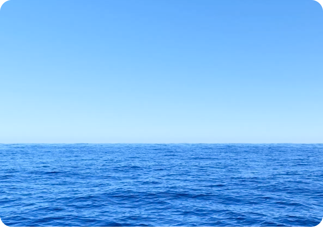 sea